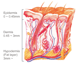 Skin-Chin-Laser-Image-PNG